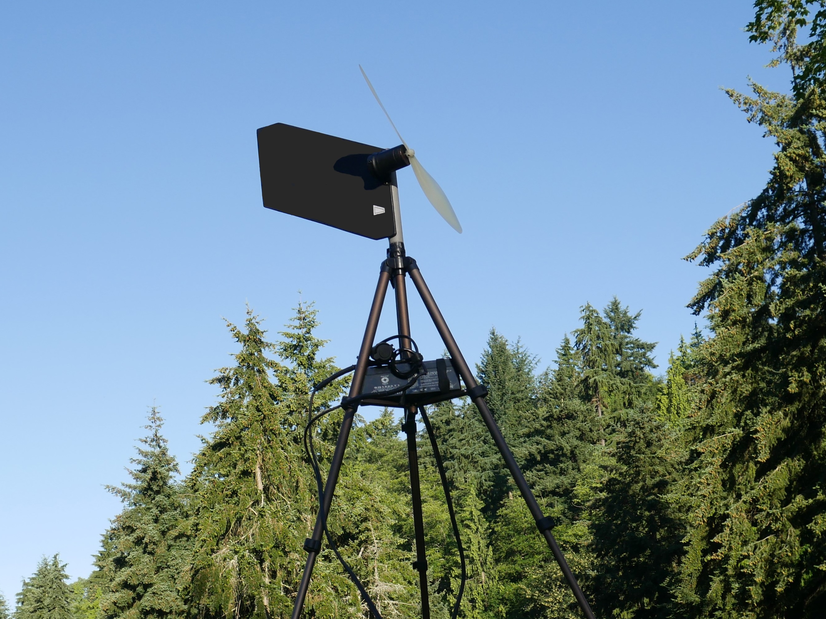 Rogue Wind Turbine