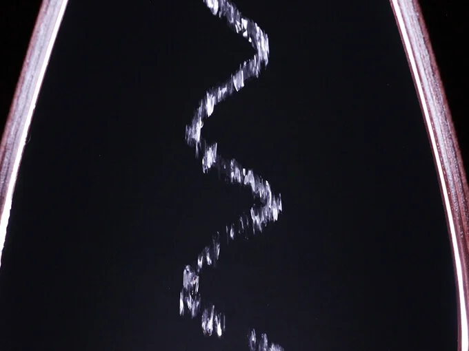 Aquarius