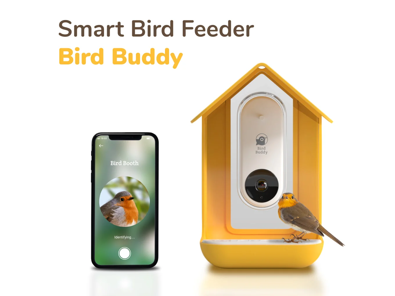Bird Buddy