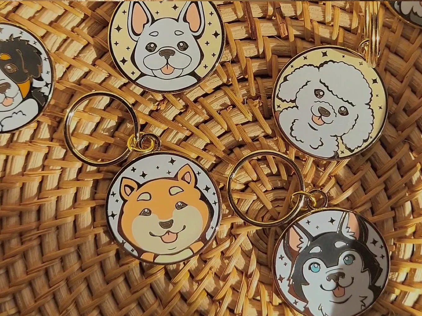 Pet Tag