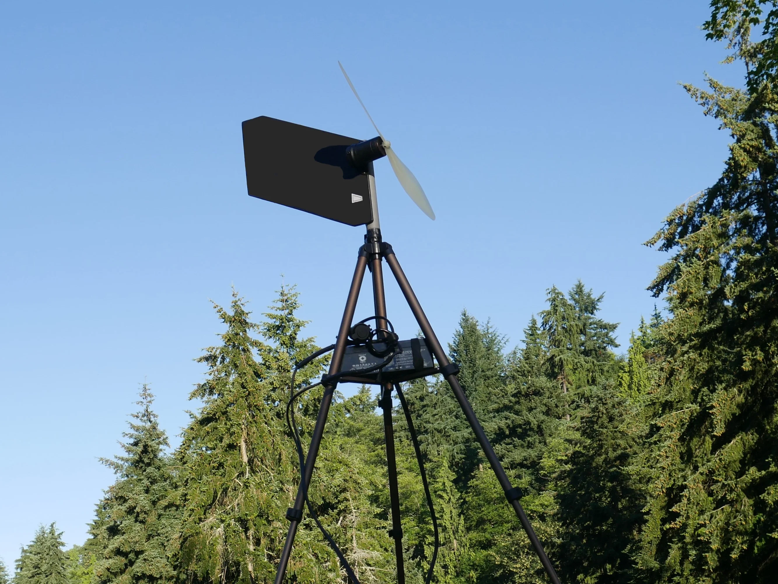 Rogue Wind Turbine
